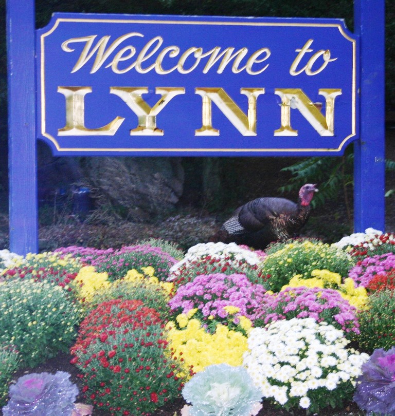 welcome to lynn sign